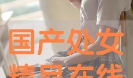 国产在线精,引领潮流的智能娱乐新篇章