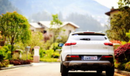 国产自在,探寻中国本土文化的独特魅力