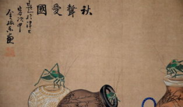 国产免费牲交视频,暗流涌动的网络隐秘世界