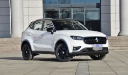 久一国产,崛起之路与辉煌成就