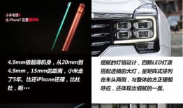 精品国产自,探索我国自主创新的辉煌成就