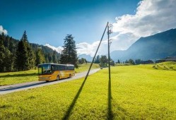 青青草国产线观