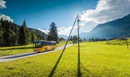 青青草国产线观