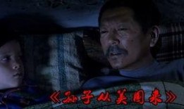 国产母子乱,温情脉脉的家庭故事