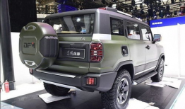 久一国产,崛起之路与辉煌成就