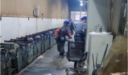 国产看片基地,揭秘看片基地的精彩世界