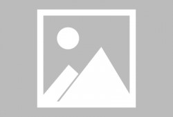 伊人国产成人,探索人性与情感的艺术表达