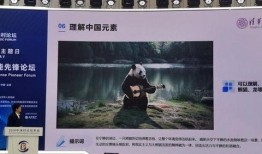 国产视频p,匠心独运，展现中国电影新风采