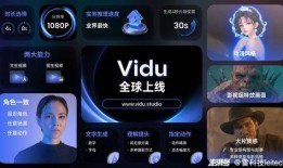 国产在线小视频网站