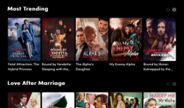 国产在线在线,引领潮流的本土创新力量