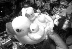 国产三级黄,揭秘我国影视产业的独特魅力